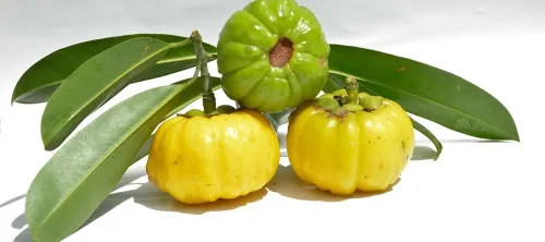 Activestin : složení pouze přírodní složky.